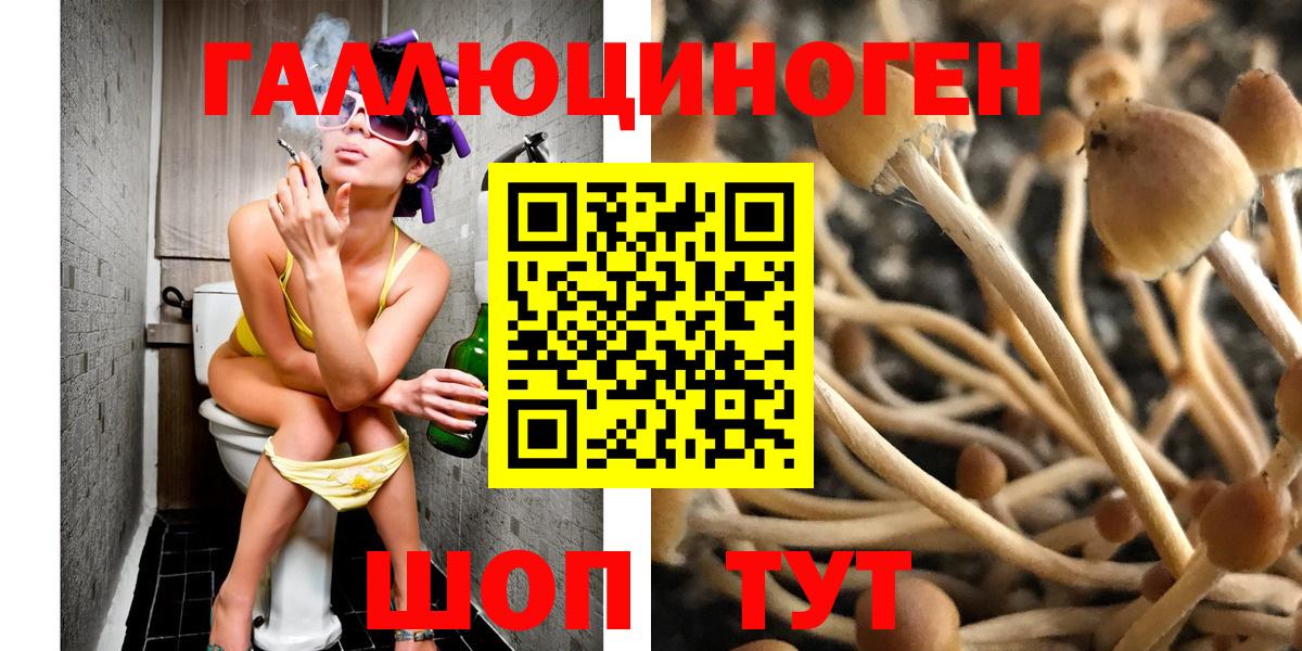 Королёв  где купить наркотик  Вход с VPN  Псилоцибиновые грибы Cubensis  Галлюциногенные грибы ЛСД 