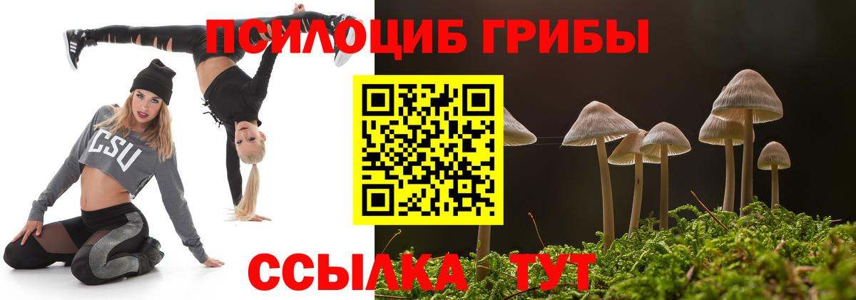 Псилоцибиновые грибы мухоморы Королёв